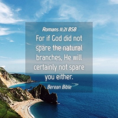 Picture 04 - Romans 11:21 BSB - For if God did not spare the natural branches, He - Bible Verse Picture