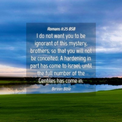 Picture 04 - Romans 11:25 BSB - I do not want you to be ignorant of this mystery, - Bible Verse Picture