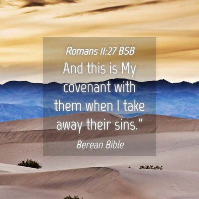 Picture 04 - Romans 11:27 BSB - And this is My covenant with them when I take - Bible Verse Picture