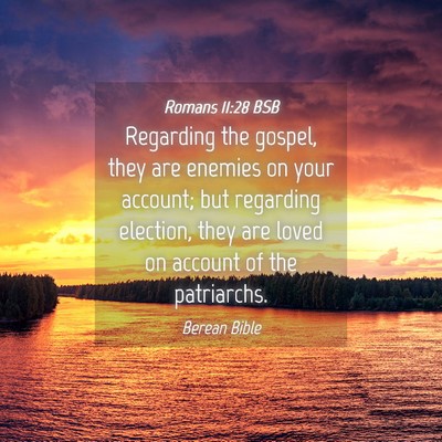 Picture 04 - Romans 11:28 BSB - Regarding the gospel, they are enemies on your - Bible Verse Picture