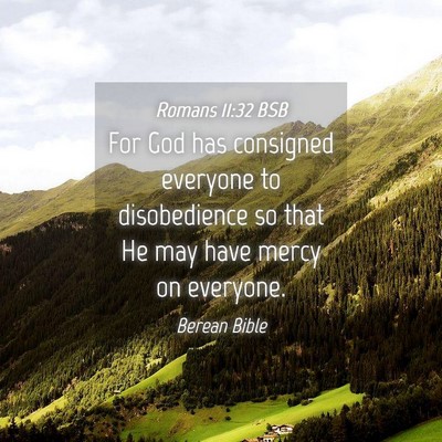 Picture 04 - Romans 11:32 BSB - For God has consigned everyone to disobedience so - Bible Verse Picture