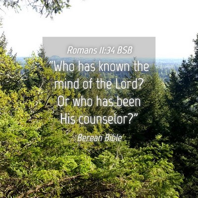 Picture 04 - Romans 11:34 BSB - “Who has known the mind of the Lord? Or who has - Bible Verse Picture