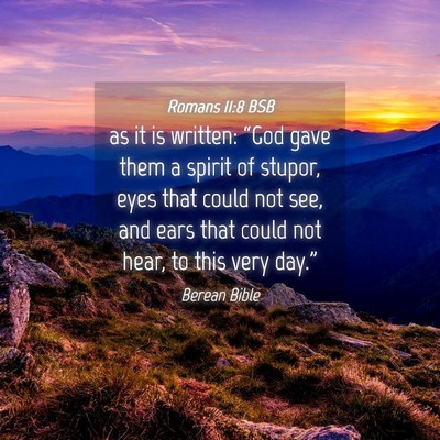 Picture 04 - Romans 11:8 BSB - as it is written: “God gave them a spirit of - Bible Verse Picture