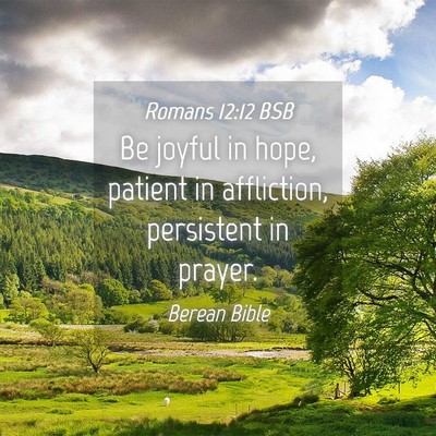 Picture 04 - Romans 12:12 BSB - Be joyful in hope, patient in affliction, - Bible Verse Picture