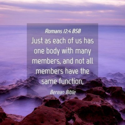 Picture 04 - Romans 12:4 BSB - Just as each of us has one body with many - Bible Verse Picture