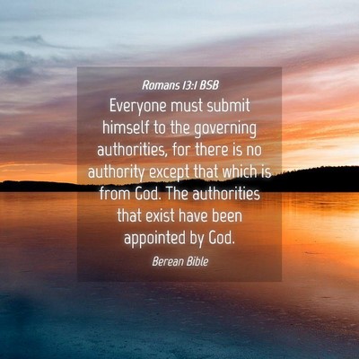Picture 04 - Romans 13:1 BSB - Everyone must submit himself to the governing - Bible Verse Picture