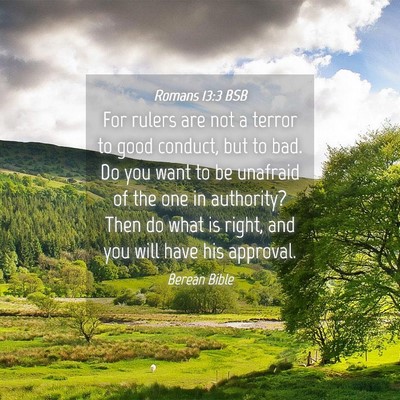 Picture 04 - Romans 13:3 BSB - For rulers are not a terror to good conduct, but - Bible Verse Picture