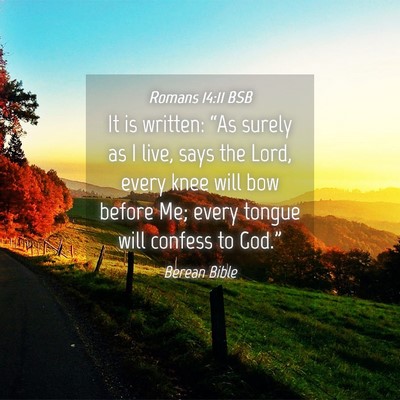 Picture 04 - Romans 14:11 BSB - It is written: “As surely as I live, says the - Bible Verse Picture