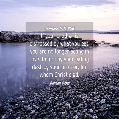 Picture 04 - Romans 14:15 BSB - If your brother is distressed by what you eat, - Bible Verse Picture