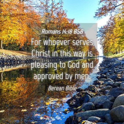 Picture 04 - Romans 14:18 BSB - For whoever serves Christ in this way is pleasing - Bible Verse Picture