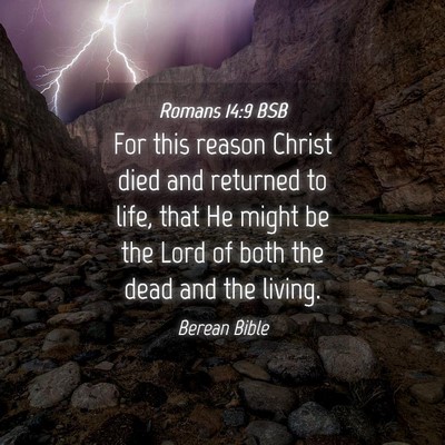 Picture 04 - Romans 14:9 BSB - For this reason Christ died and returned to life, - Bible Verse Picture