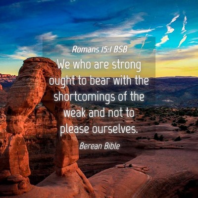 Picture 04 - Romans 15:1 BSB - We who are strong ought to bear with the - Bible Verse Picture