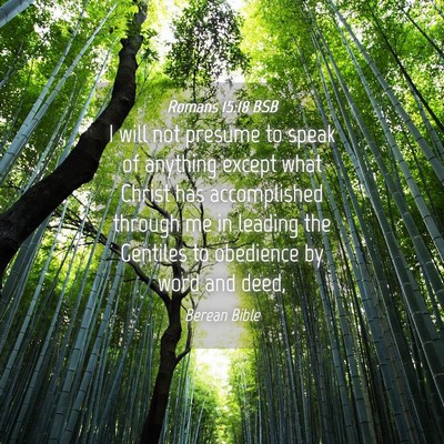 Picture 04 - Romans 15:18 BSB - I will not presume to speak of anything except - Bible Verse Picture