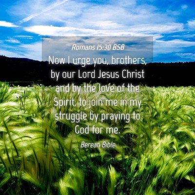 Picture 04 - Romans 15:30 BSB - Now I urge you, brothers, by our Lord Jesus - Bible Verse Picture