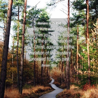 Picture 04 - Romans 16:25 BSB - Now to Him who is able to strengthen you by my - Bible Verse Picture