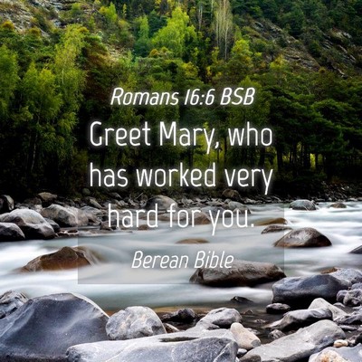 Picture 04 - Romans 16:6 BSB - Greet Mary, who has worked very hard for - Bible Verse Picture