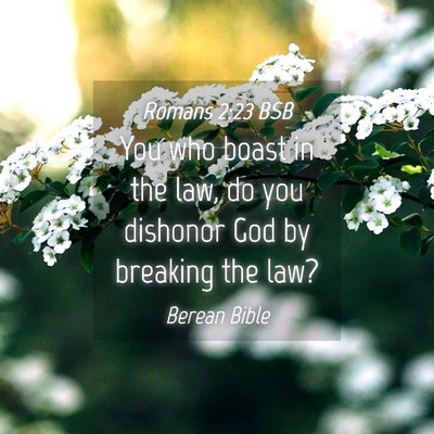 Picture 04 - Romans 2:23 BSB - You who boast in the law, do you dishonor God by - Bible Verse Picture