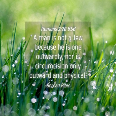 Picture 04 - Romans 2:28 BSB - A man is not a Jew because he is one outwardly, - Bible Verse Picture