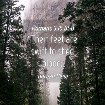Picture 04 - Romans 3:15 BSB - “Their feet are swift to shed - Bible Verse Picture
