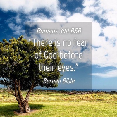 Picture 04 - Romans 3:18 BSB - “There is no fear of God before their - Bible Verse Picture