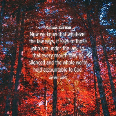 Picture 04 - Romans 3:19 BSB - Now we know that whatever the law says, it says - Bible Verse Picture