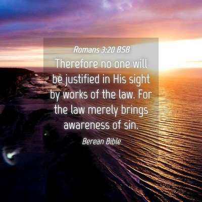 Picture 04 - Romans 3:20 BSB - Therefore no one will be justified in His sight - Bible Verse Picture
