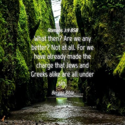 Picture 04 - Romans 3:9 BSB - What then? Are we any better? Not at all. For we - Bible Verse Picture