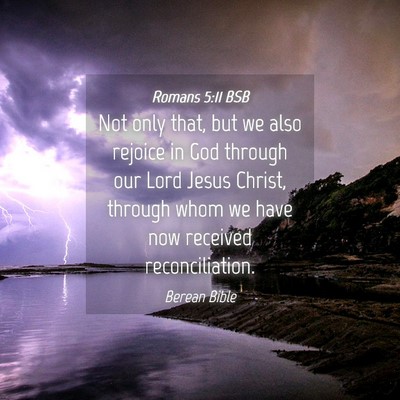 Picture 04 - Romans 5:11 BSB - Not only that, but we also rejoice in God through - Bible Verse Picture