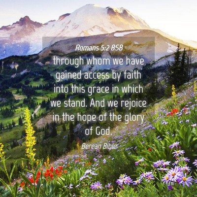 Picture 04 - Romans 5:2 BSB - through whom we have gained access by faith into - Bible Verse Picture
