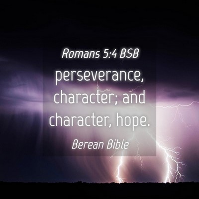 Picture 04 - Romans 5:4 BSB - perseverance, character; and character, - Bible Verse Picture