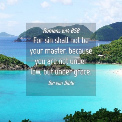 Picture 04 - Romans 6:14 BSB - For sin shall not be your master, because you are - Bible Verse Picture