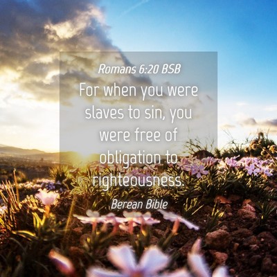 Picture 04 - Romans 6:20 BSB - For when you were slaves to sin, you were free of - Bible Verse Picture