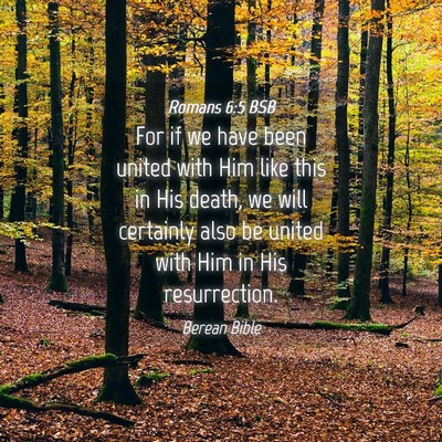 Picture 04 - Romans 6:5 BSB - For if we have been united with Him like this in - Bible Verse Picture