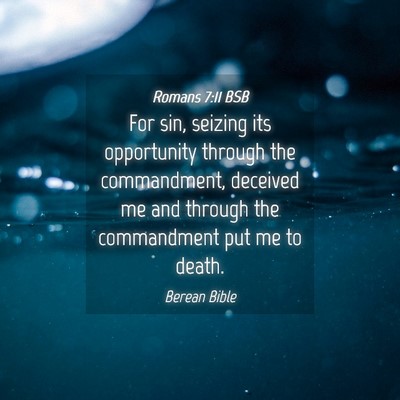 Picture 04 - Romans 7:11 BSB - For sin, seizing its opportunity through the - Bible Verse Picture