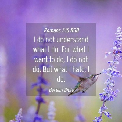 Picture 04 - Romans 7:15 BSB - I do not understand what I do. For what I want to - Bible Verse Picture