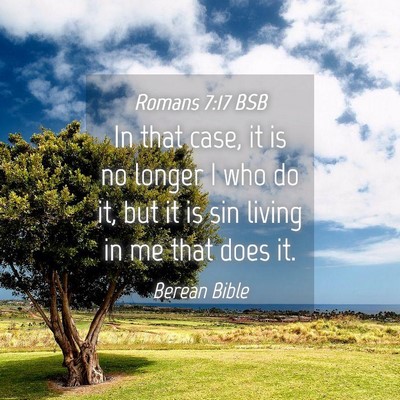 Picture 04 - Romans 7:17 BSB - In that case, it is no longer I who do it, but it - Bible Verse Picture