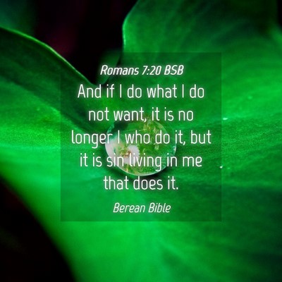 Picture 04 - Romans 7:20 BSB - And if I do what I do not want, it is no longer I - Bible Verse Picture