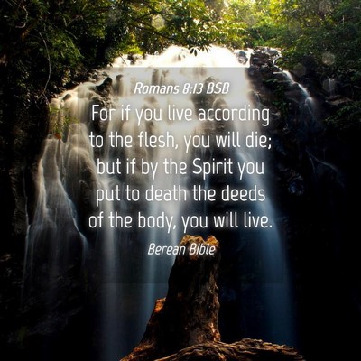 Picture 04 - Romans 8:13 BSB - For if you live according to the flesh, you will - Bible Verse Picture