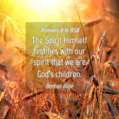 Picture 04 - Romans 8:16 BSB - The Spirit Himself testifies with our spirit that - Bible Verse Picture