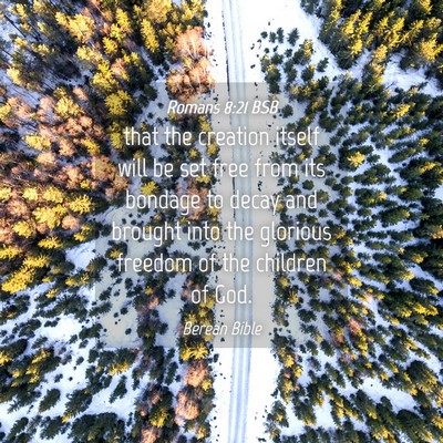 Picture 04 - Romans 8:21 BSB - that the creation itself will be set free from - Bible Verse Picture