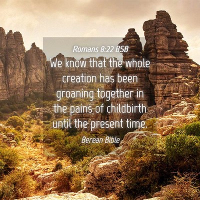 Picture 04 - Romans 8:22 BSB - We know that the whole creation has been groaning - Bible Verse Picture