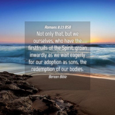 Picture 04 - Romans 8:23 BSB - Not only that, but we ourselves, who have the - Bible Verse Picture
