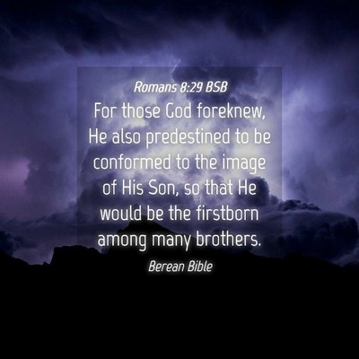 Picture 04 - Romans 8:29 BSB - For those God foreknew, He also predestined to be - Bible Verse Picture