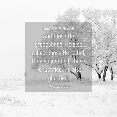 Picture 04 - Romans 8:30 BSB - And those He predestined, He also called; those - Bible Verse Picture