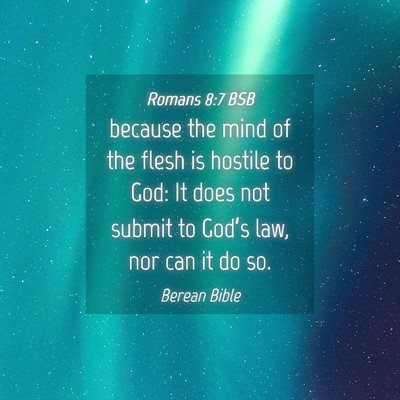 Picture 04 - Romans 8:7 BSB - because the mind of the flesh is hostile to God: - Bible Verse Picture
