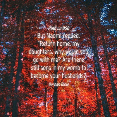 Picture 04 - Ruth 1:11 BSB - But Naomi replied, “Return home, my daughters. - Bible Verse Picture
