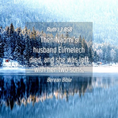 Picture 04 - Ruth 1:3 BSB - Then Naomi’s husband Elimelech died, and she - Bible Verse Picture