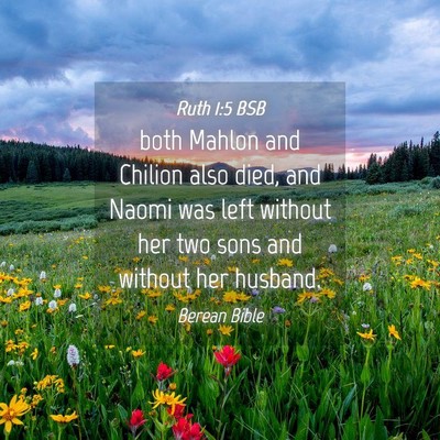 Picture 04 - Ruth 1:5 BSB - both Mahlon and Chilion also died, and Naomi was - Bible Verse Picture