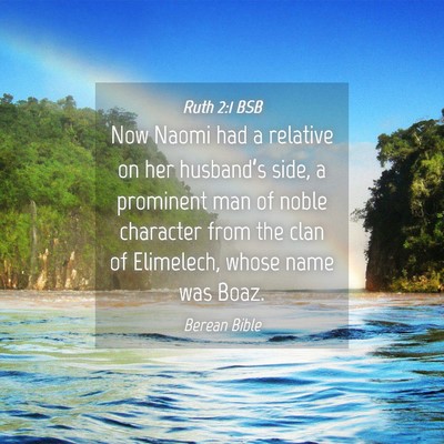 Picture 04 - Ruth 2:1 BSB - Now Naomi had a relative on her husband’s side, - Bible Verse Picture