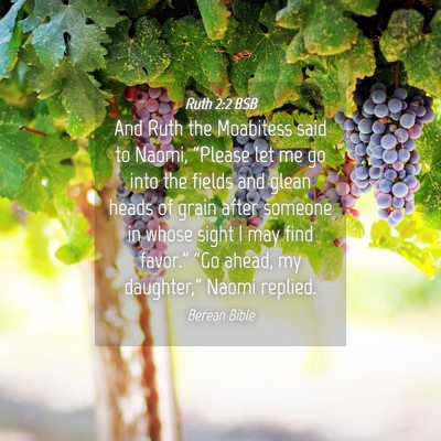 Picture 04 - Ruth 2:2 BSB - And Ruth the Moabitess said to Naomi, “Please - Bible Verse Picture